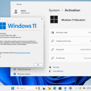 Windows 11 (No TPM Required) & Windows 10 AIO 32in1 With Office 2024 sc1.png
