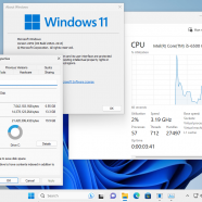 Windows 11 Pro sccc.png
