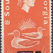 FK-SG-24.jpg