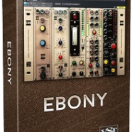 Acustica Audio Ebony.png