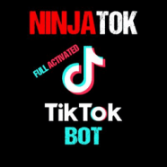 NinjaTok.png