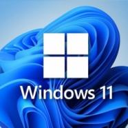 Windows 11 22H2.jpg